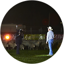 Jack Briscoe profile picture